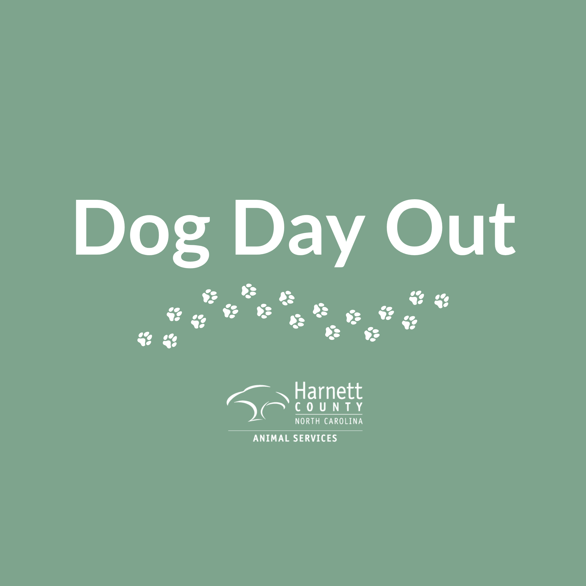 White text on a green background that says Dog Day Out and Harnett County, Animal Services