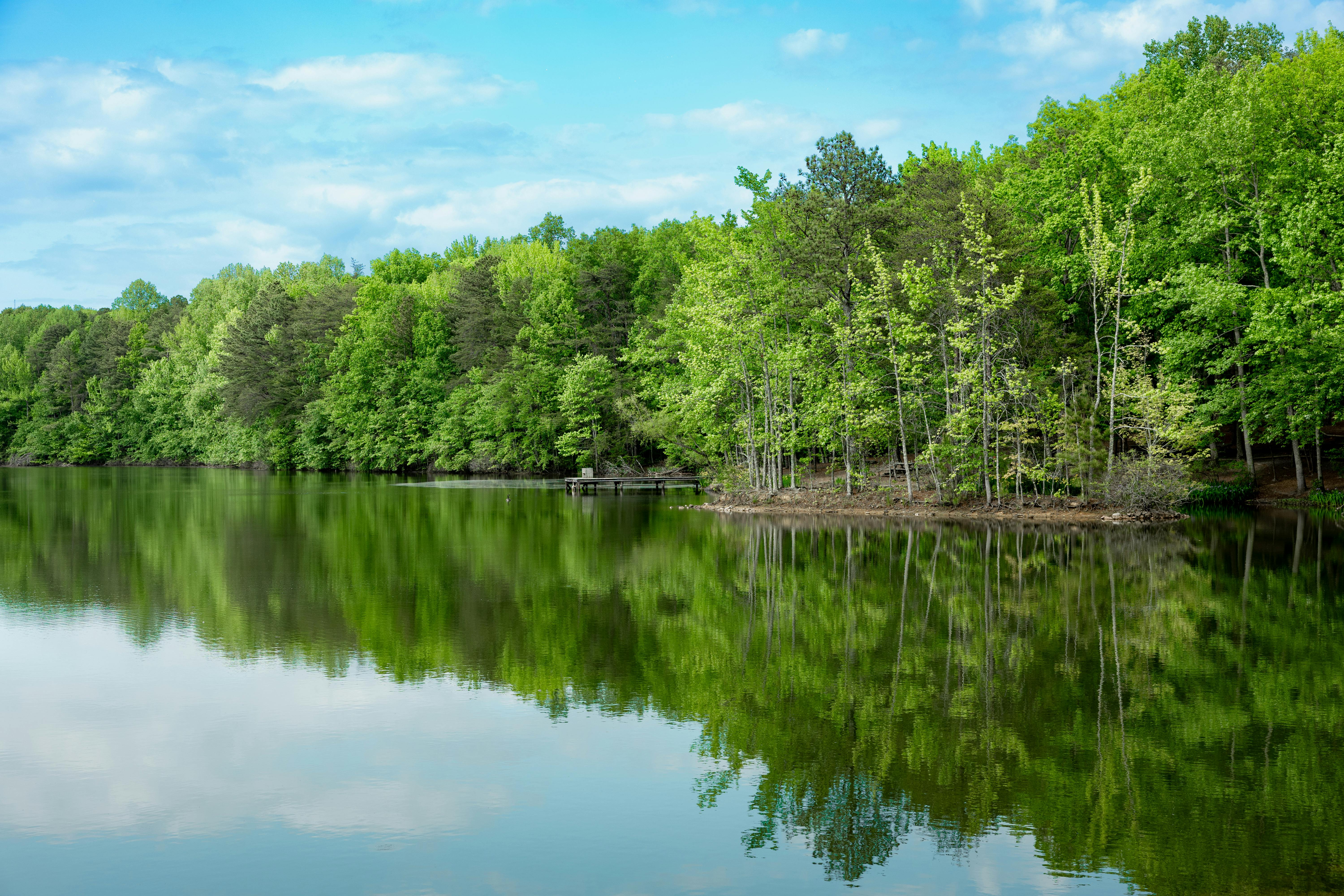 Peaceful lake surrounded by lush green trees reflecting on calm water under a blue sky 