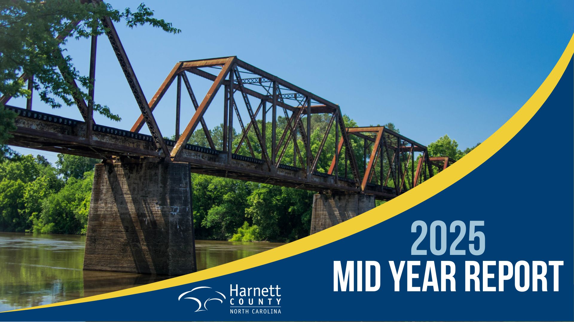 2025 Mid-year Report