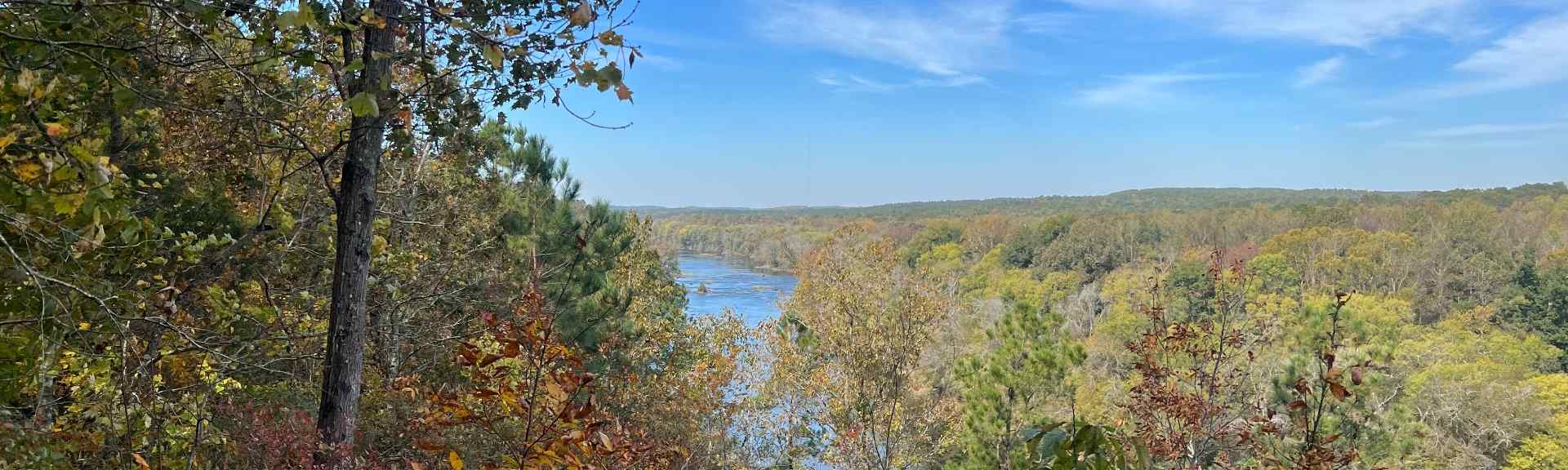 Check the current water level of the Cape Fear River