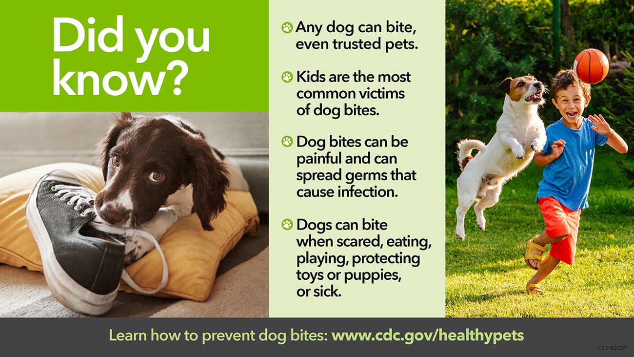 Prevent Dog Bites