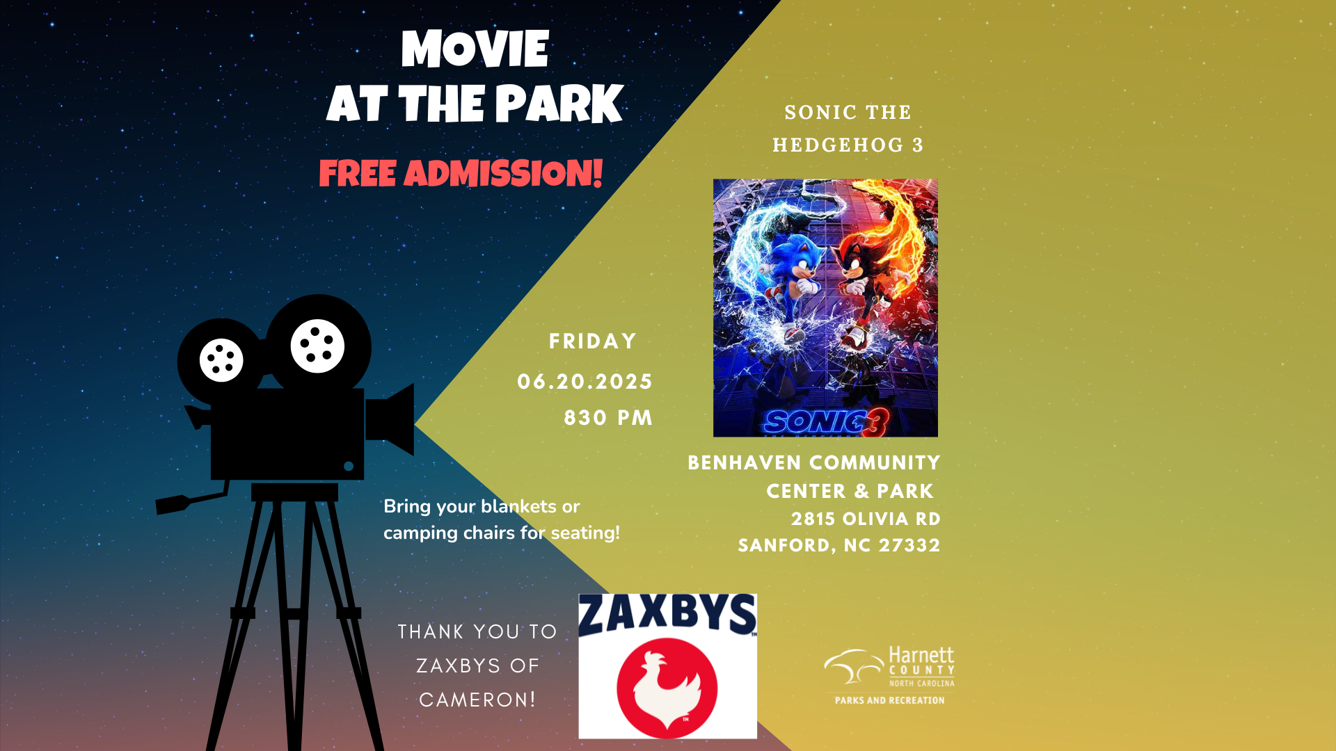 Movie at the Park- Sonic the Hedgehog 3